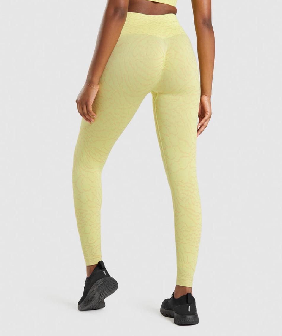 Κολαν Gymshark Adapt Animal Seamless γυναικεια κίτρινα | GR_S3873