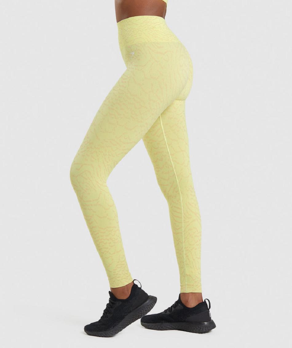Κολαν Gymshark Adapt Animal Seamless γυναικεια κίτρινα | GR_S3873
