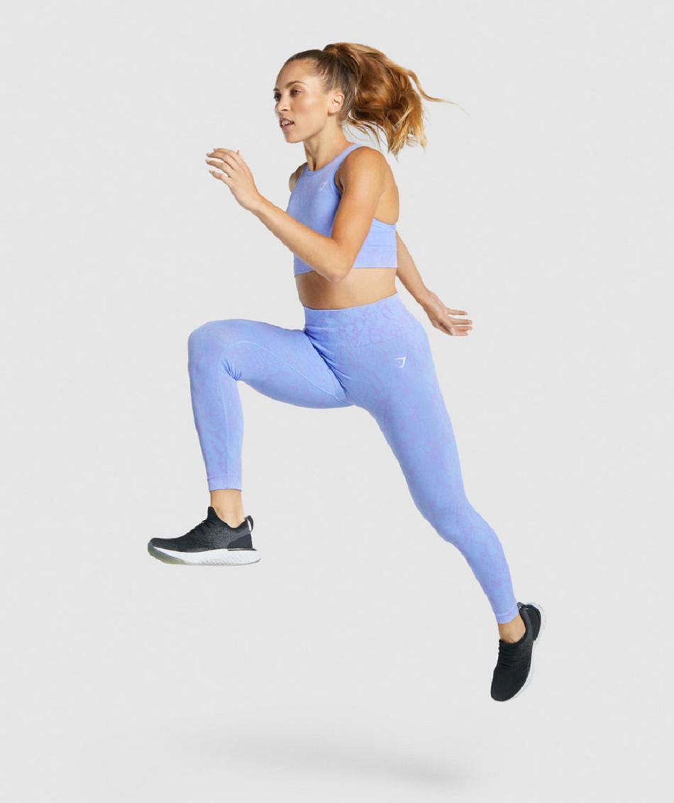 Κολαν Gymshark Adapt Animal Seamless γυναικεια ανοιχτο μπλε | GR_IM9399