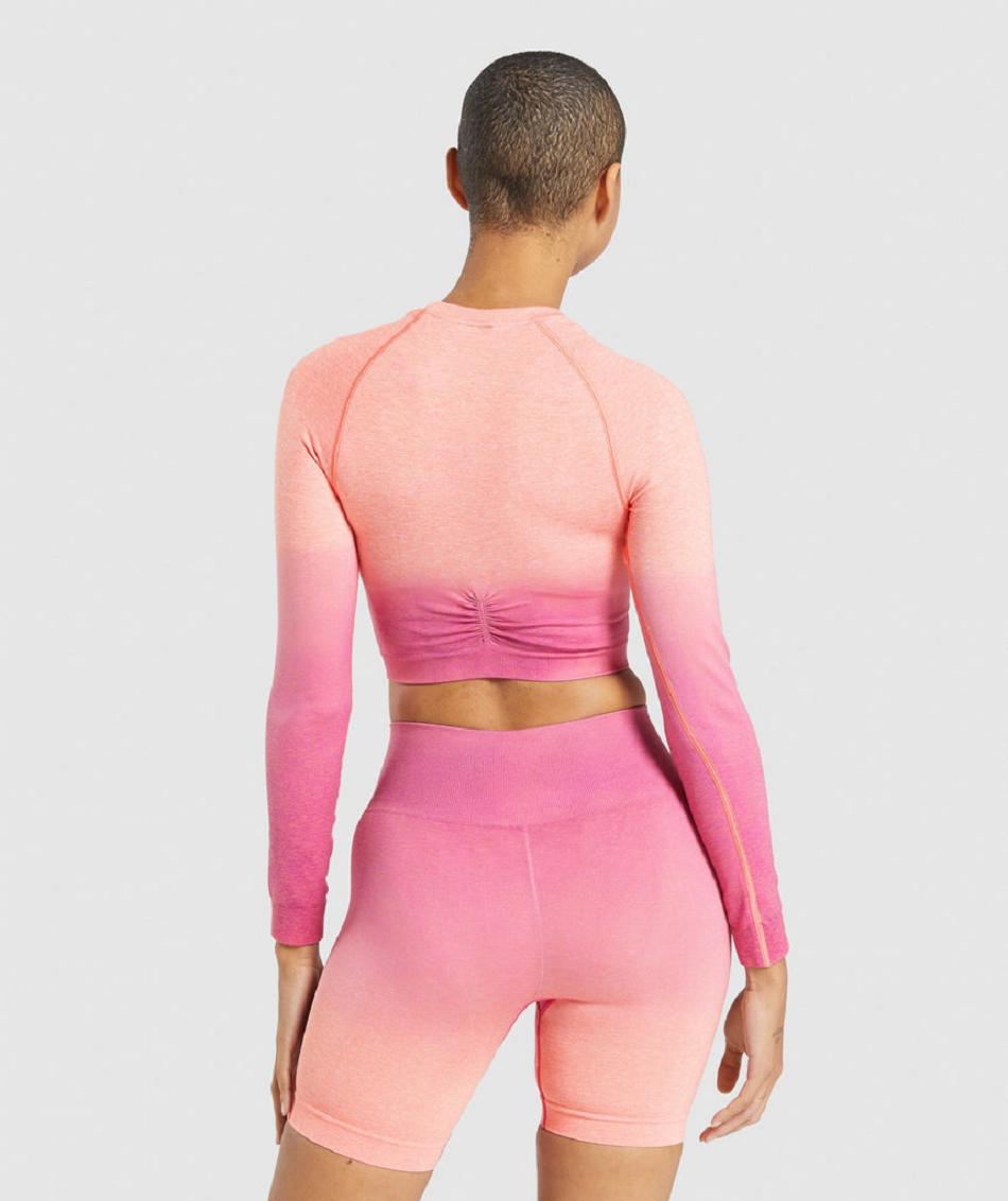 Μακρυμανικο Gymshark Adapt Ombre Seamless γυναικεια πορτοκαλι ροζ | GR_NN1841