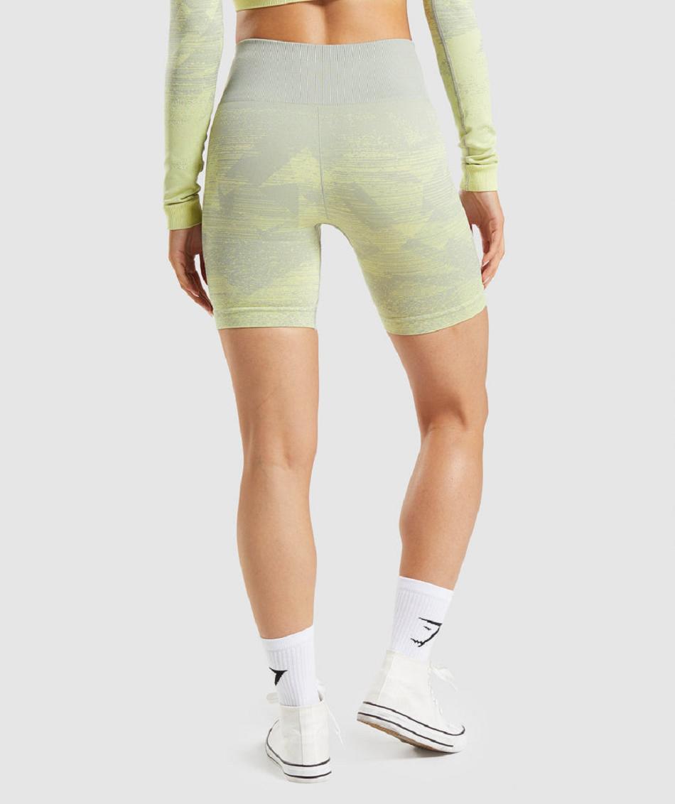Σορτσ Gymshark Adapt Ombre Seamless γυναικεια γκρι καφε γκρι | GR_ZI1680