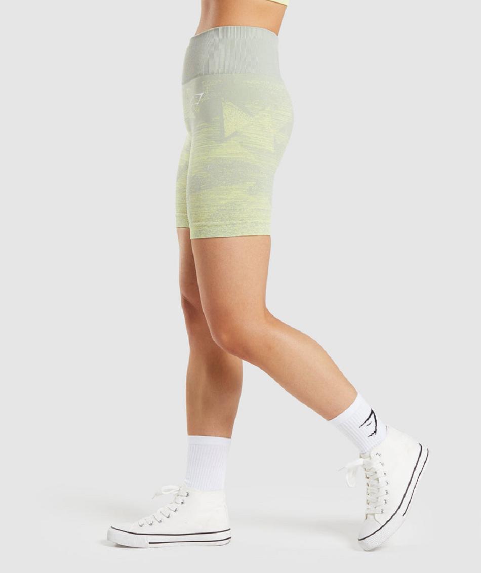 Σορτσ Gymshark Adapt Ombre Seamless γυναικεια γκρι καφε γκρι | GR_ZI1680