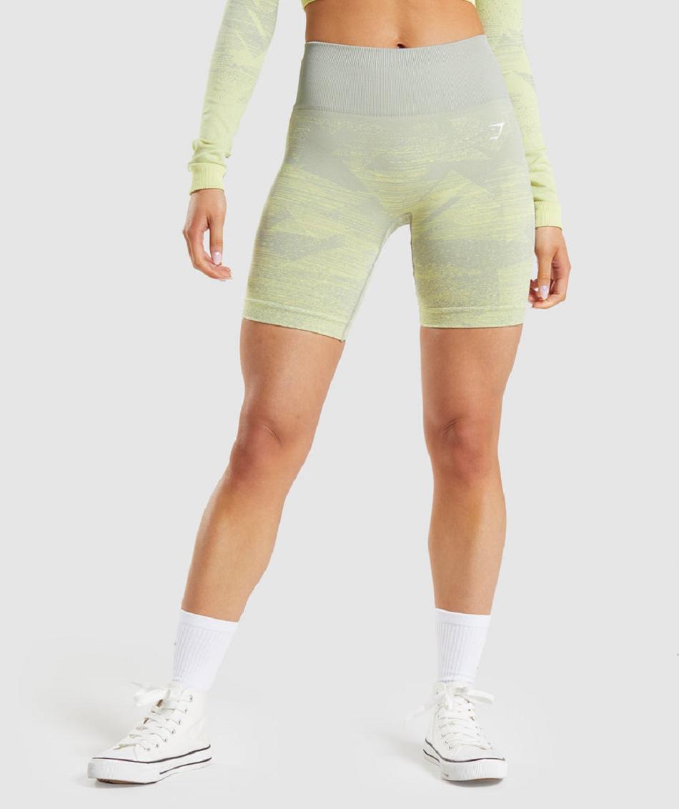 Σορτσ Gymshark Adapt Ombre Seamless γυναικεια γκρι καφε γκρι | GR_ZI1680
