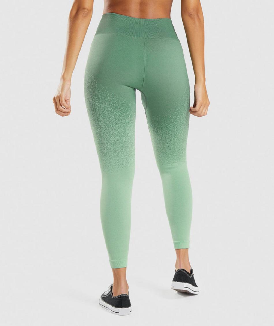Κολαν Gymshark Adapt Ombre Seamless γυναικεια πρασινο ανοιχτο πρασινο | GR_ZI9386