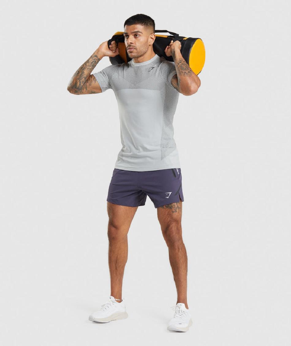 Σορτσ Gymshark Apex 5