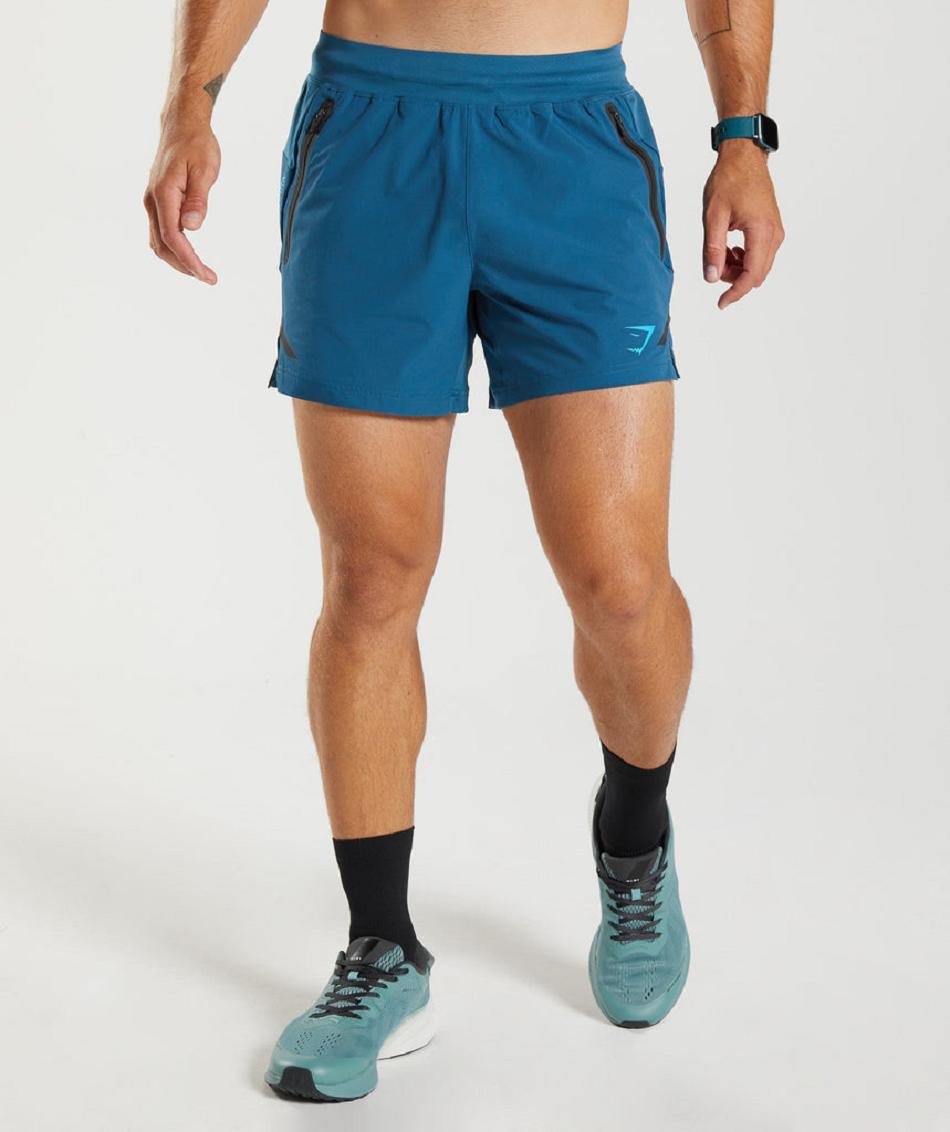Σορτσ Gymshark Apex 5\