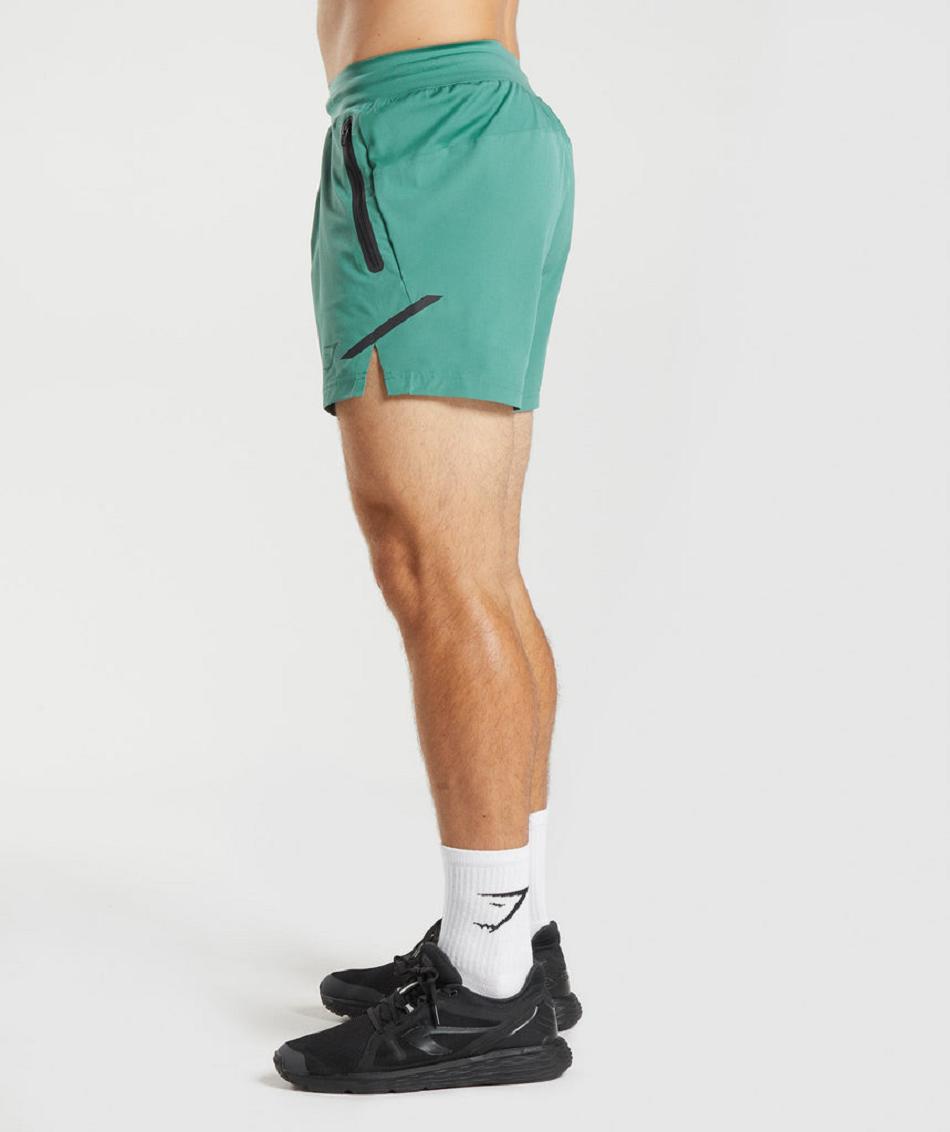 Σορτσ Gymshark Apex 5