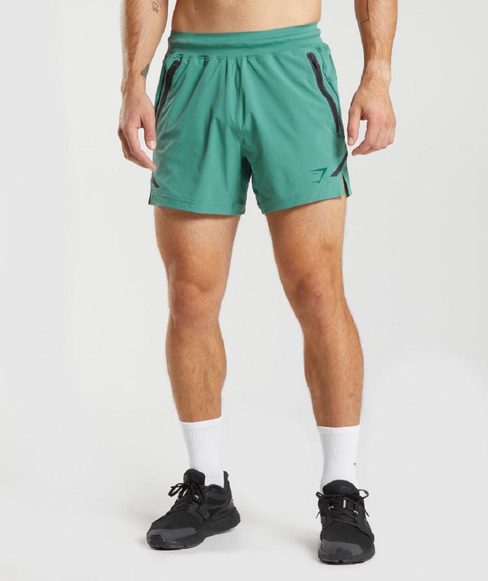 Σορτσ Gymshark Apex 5\
