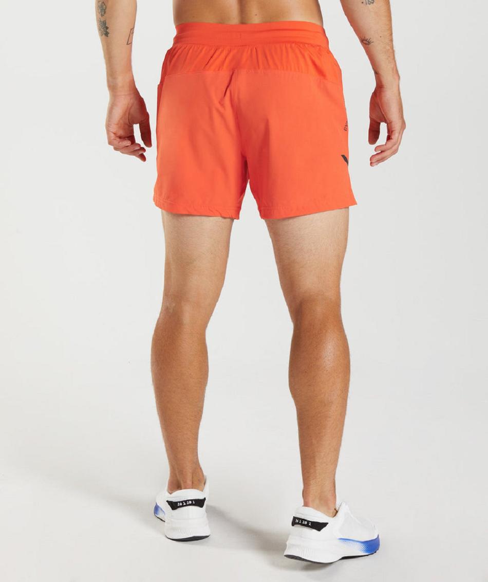 Σορτσ Gymshark Apex 5