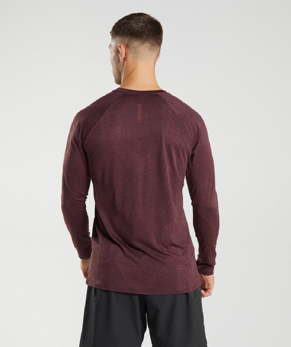 Μακρυμανικο Gymshark Apex ανδρικα ροζ καφε | GR_TC5508