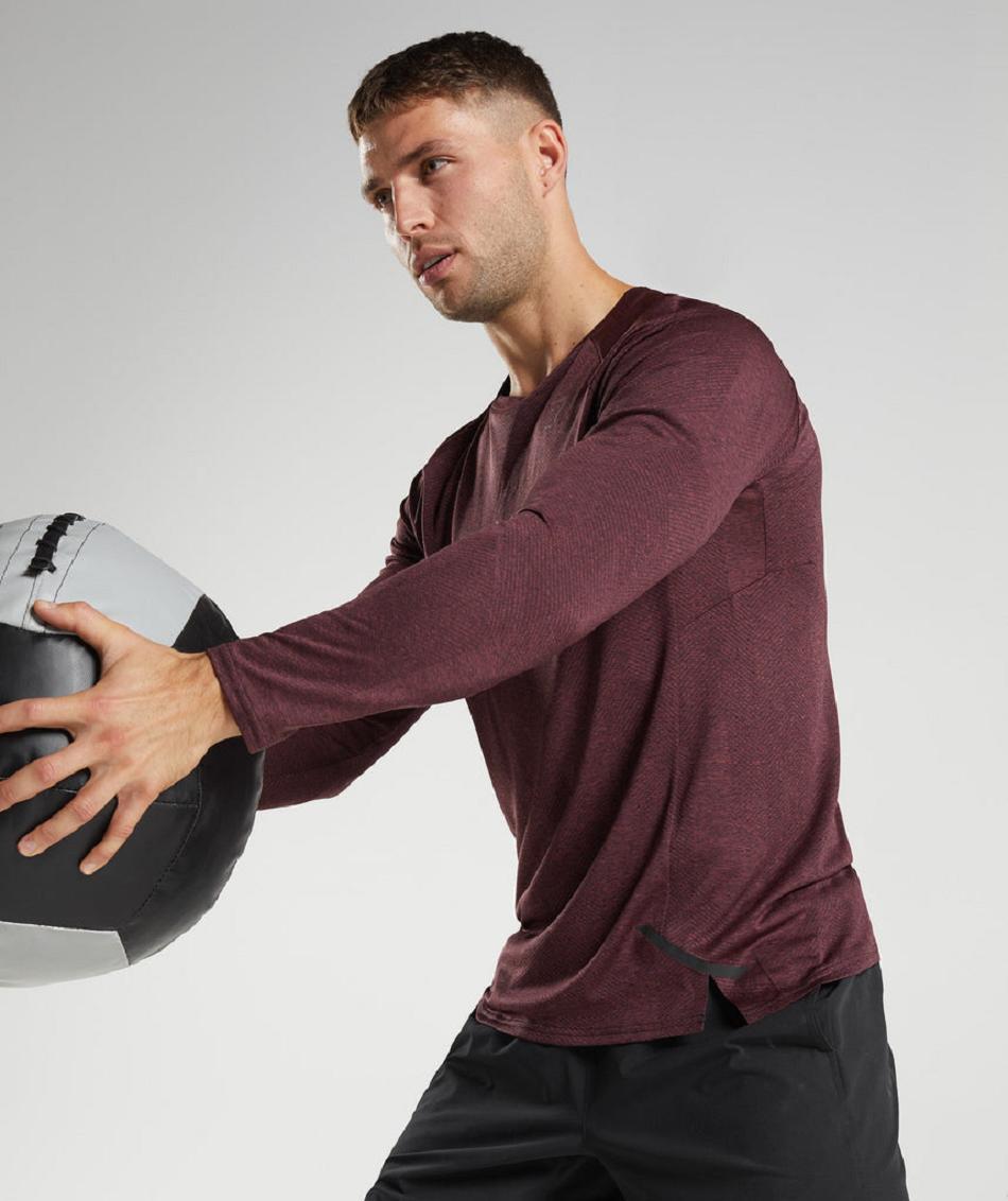 Μακρυμανικο Gymshark Apex ανδρικα ροζ καφε | GR_TC5508