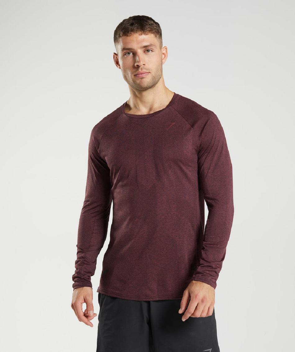 Μακρυμανικο Gymshark Apex ανδρικα ροζ καφε | GR_TC5508