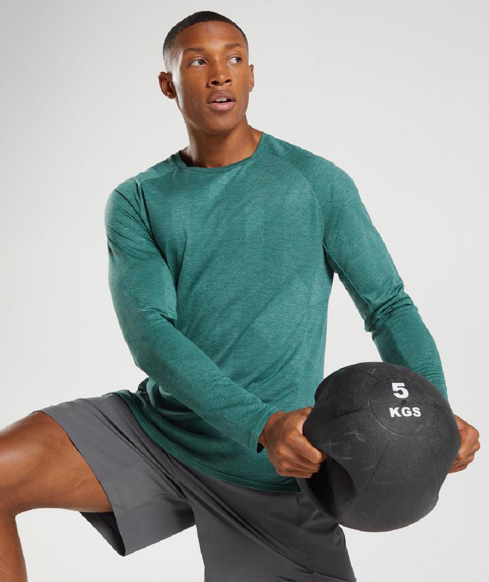 Μακρυμανικο Gymshark Apex ανδρικα πρασινο πρασινο | GR_TG3598