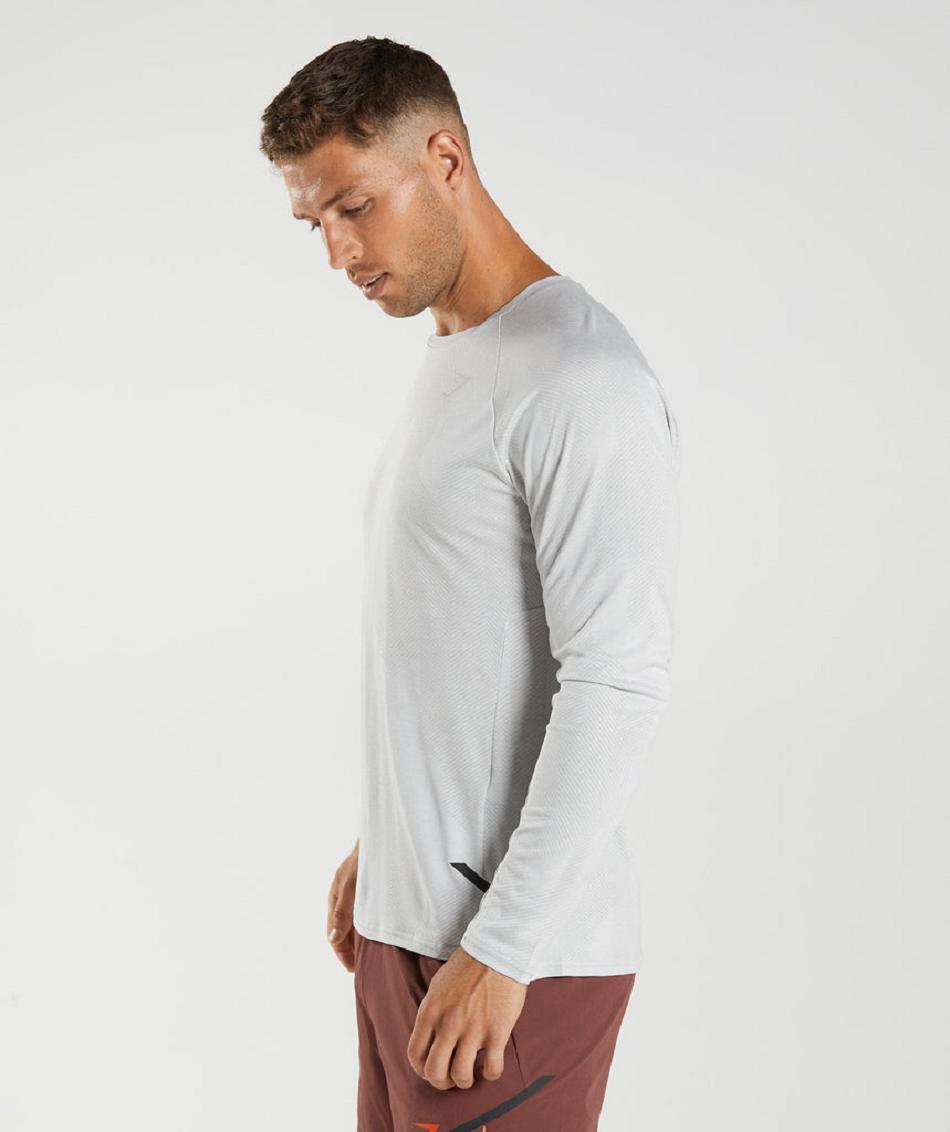 Μακρυμανικο Gymshark Apex ανδρικα ανοιχτο γκρι ασπρα | GR_N5606