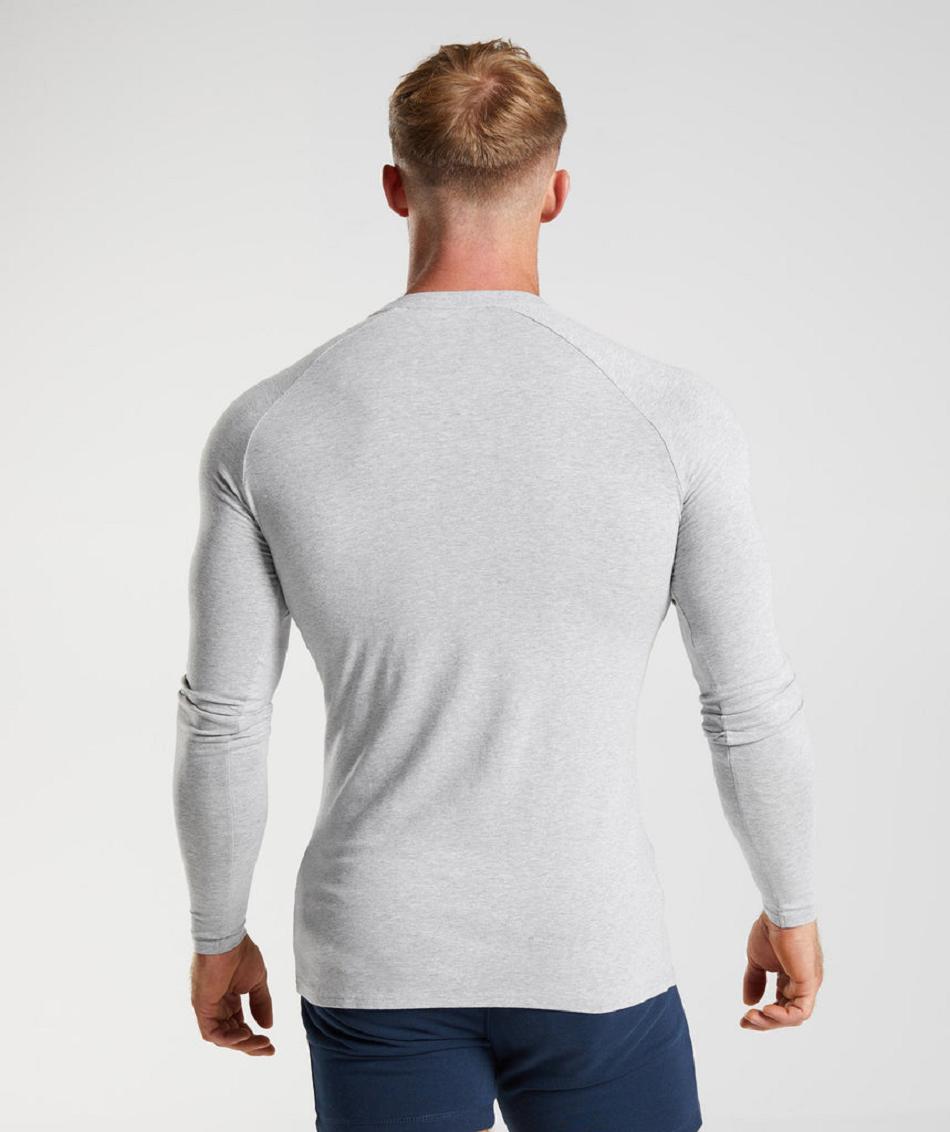 Μακρυμανικο Gymshark Apollo ανδρικα ανοιχτο γκρι | GR_K2761