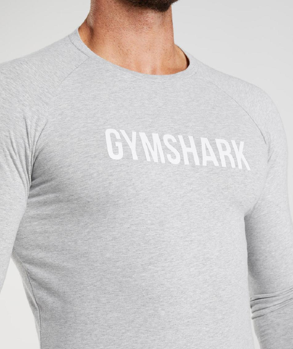 Μακρυμανικο Gymshark Apollo ανδρικα ανοιχτο γκρι | GR_K2761
