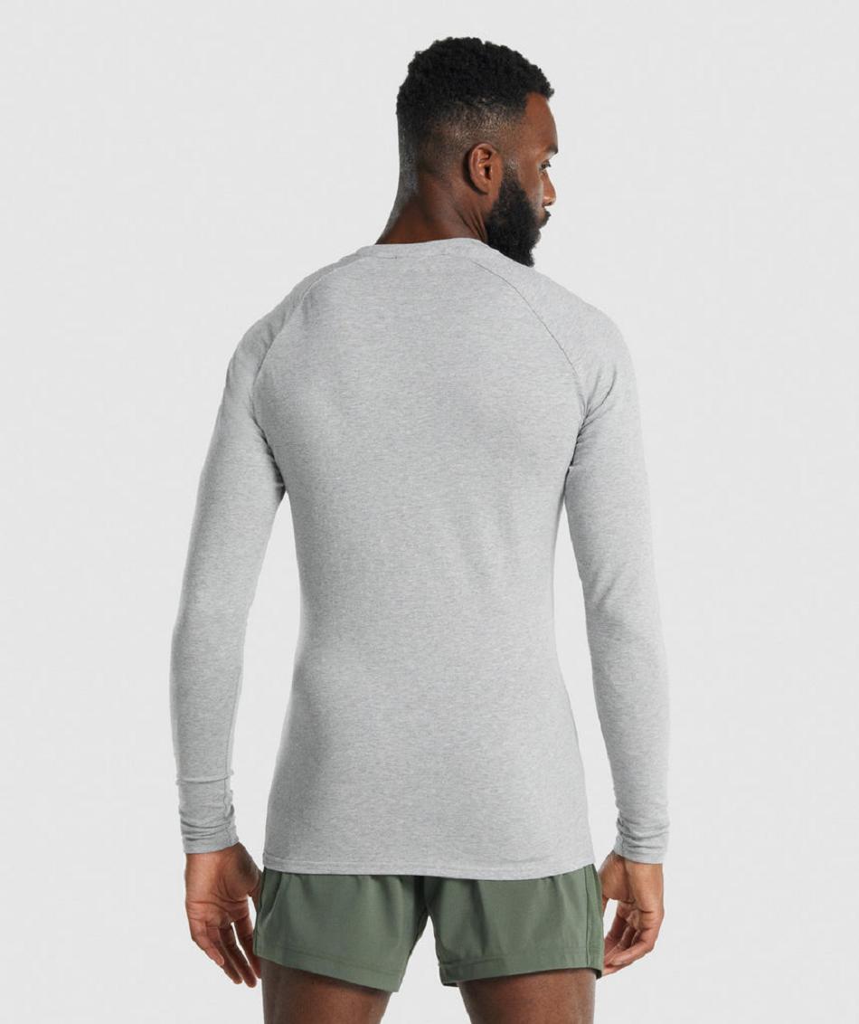 Μακρυμανικο Gymshark Apollo ανδρικα ανοιχτο γκρι | GR_QX7060