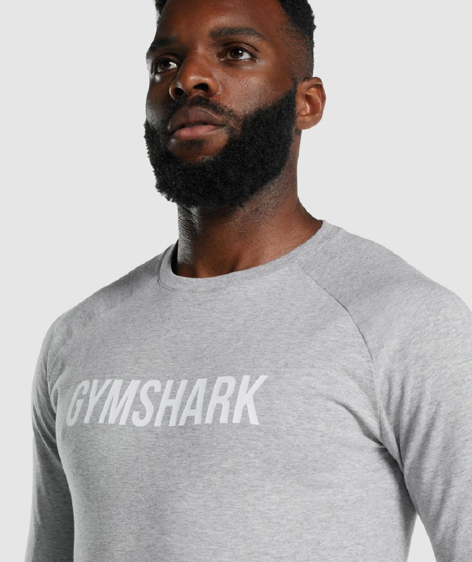 Μακρυμανικο Gymshark Apollo ανδρικα ανοιχτο γκρι | GR_QX7060
