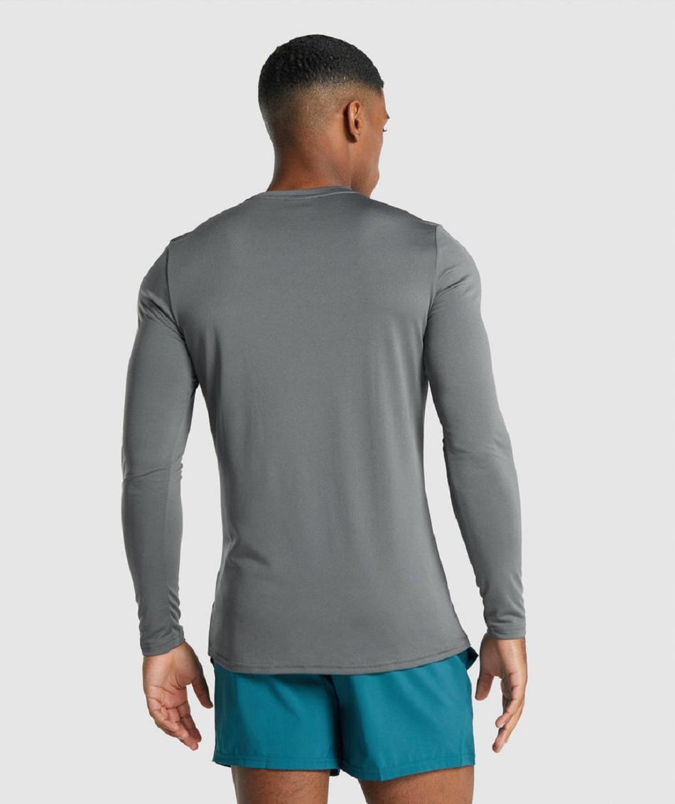 Μακρυμανικο Gymshark Arrival Graphic ανδρικα γκρι | GR_XC3034