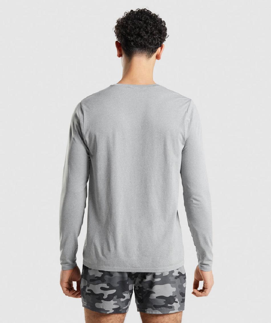 Μακρυμανικο Gymshark Arrival Seamless ανδρικα γκρι | GR_AZ6185