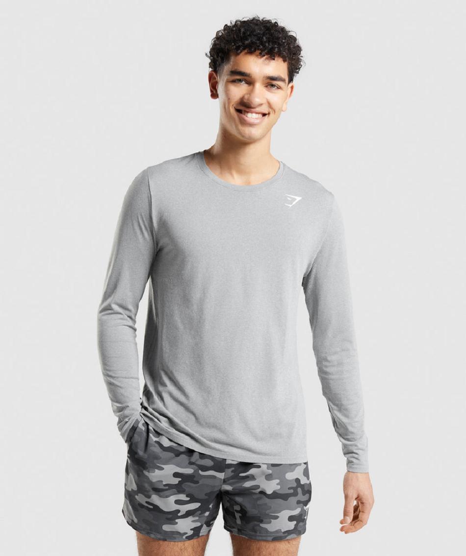 Μακρυμανικο Gymshark Arrival Seamless ανδρικα γκρι | GR_AZ6185