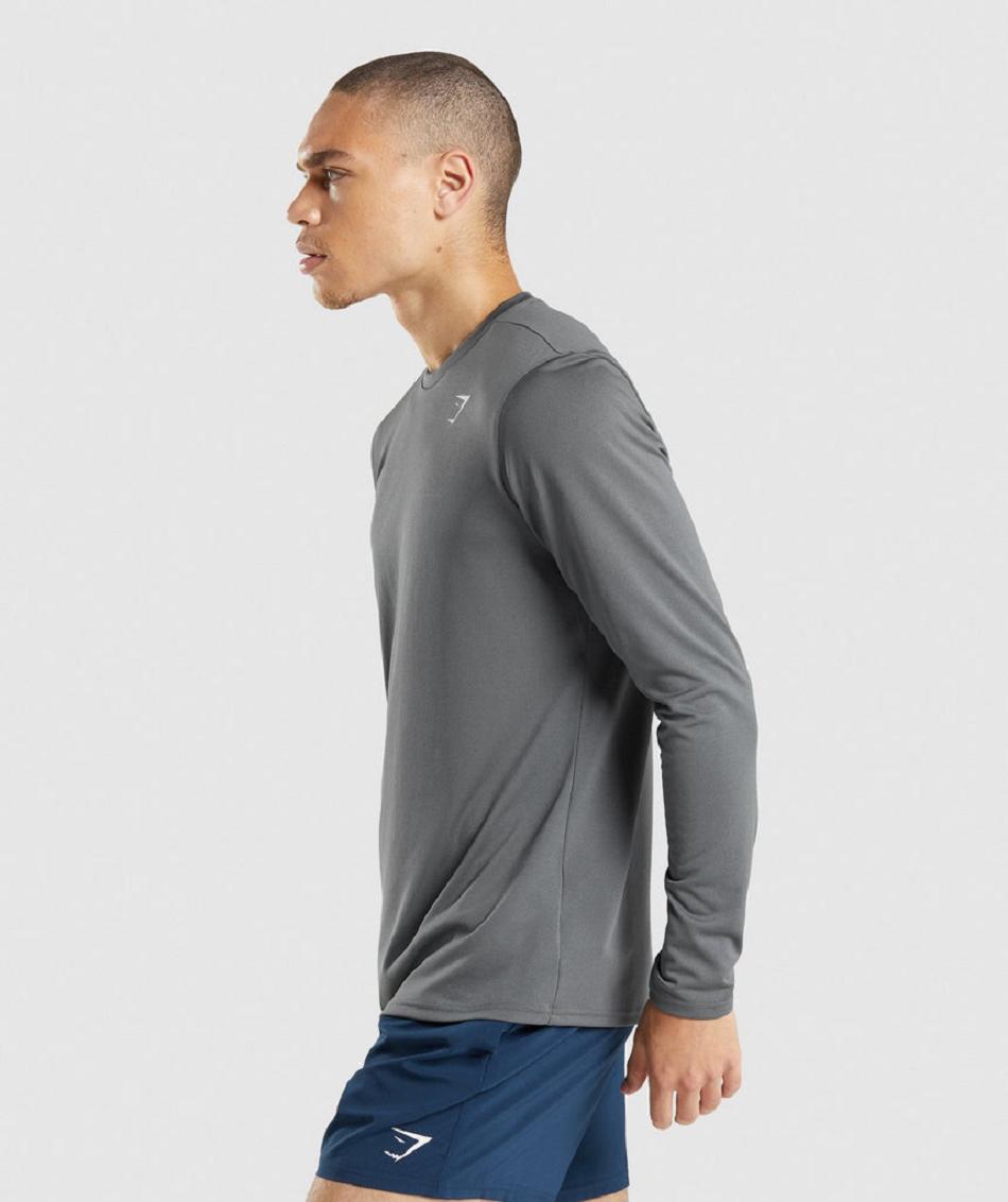 Μακρυμανικο Gymshark Arrival ανδρικα γκρι | GR_V2112