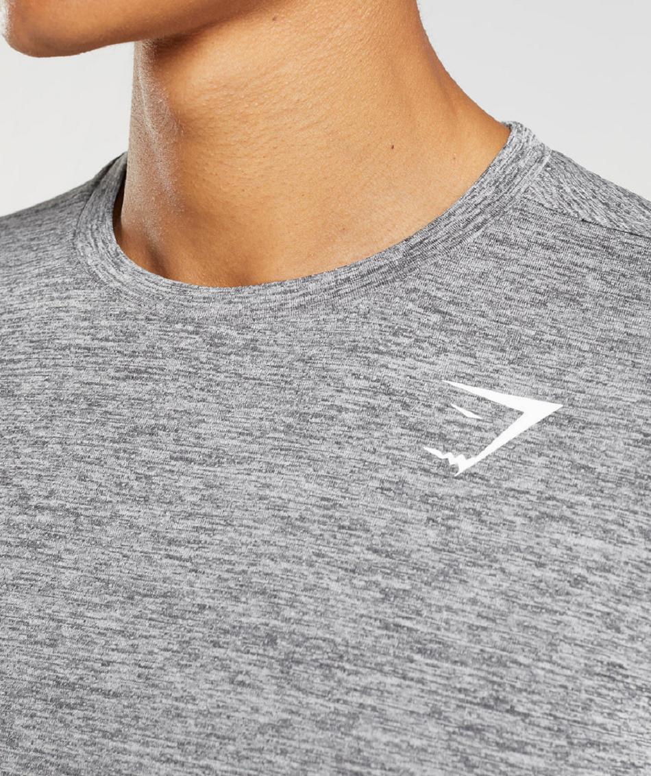 Μακρυμανικο Gymshark Arrival ανδρικα γκρι ανοιχτο γκρι | GR_BO2384