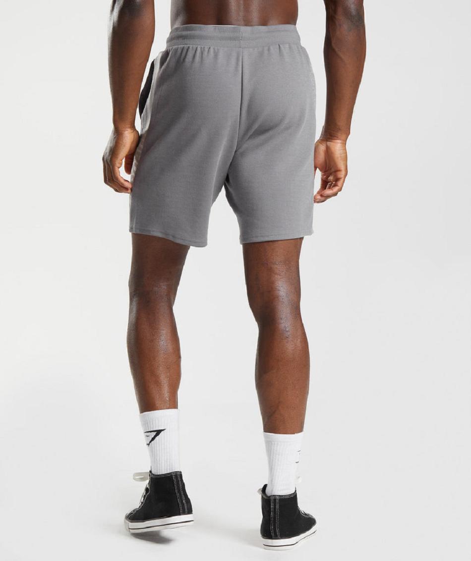 Σορτσ Gymshark Bold React 5