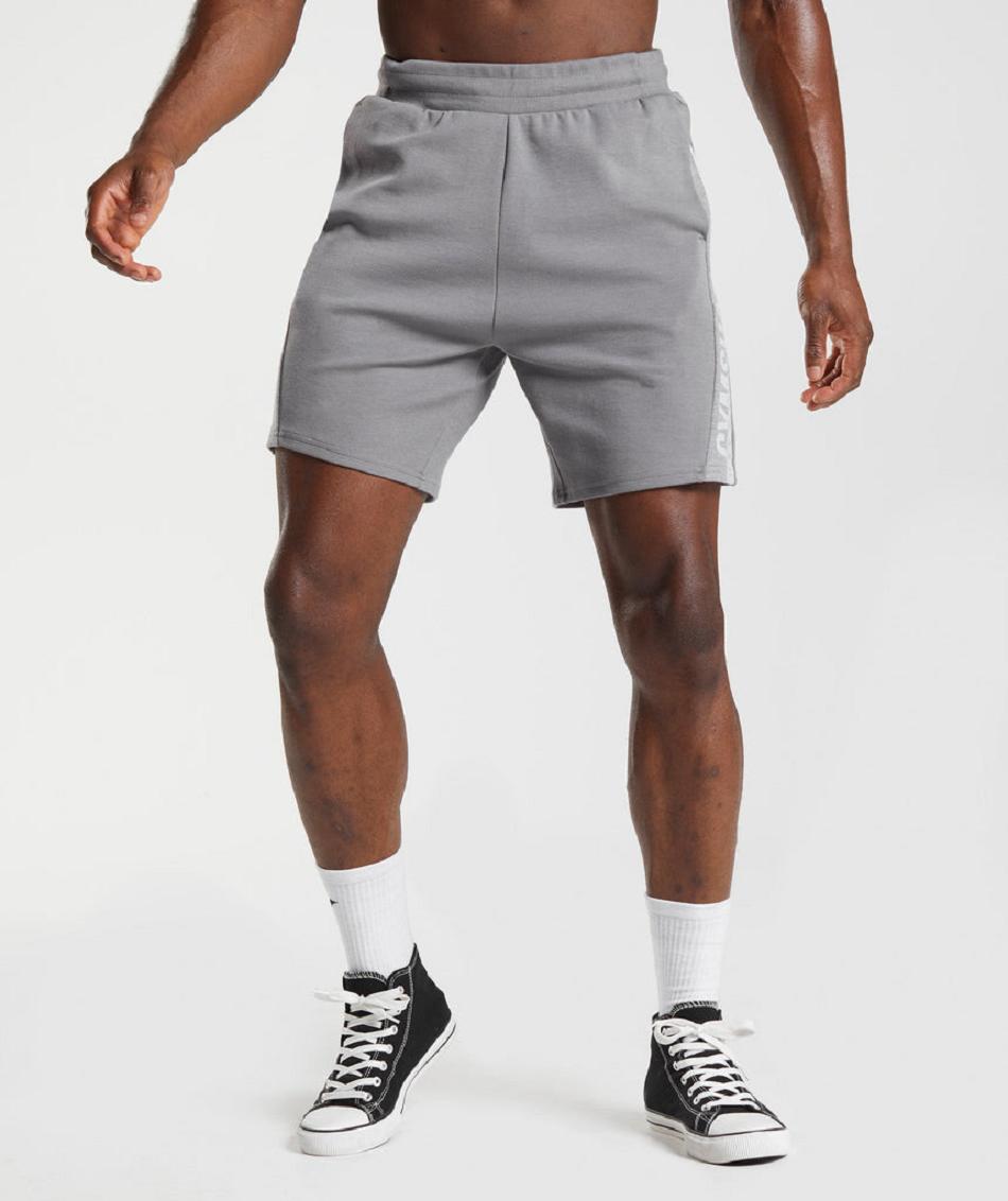 Σορτσ Gymshark Bold React 5\