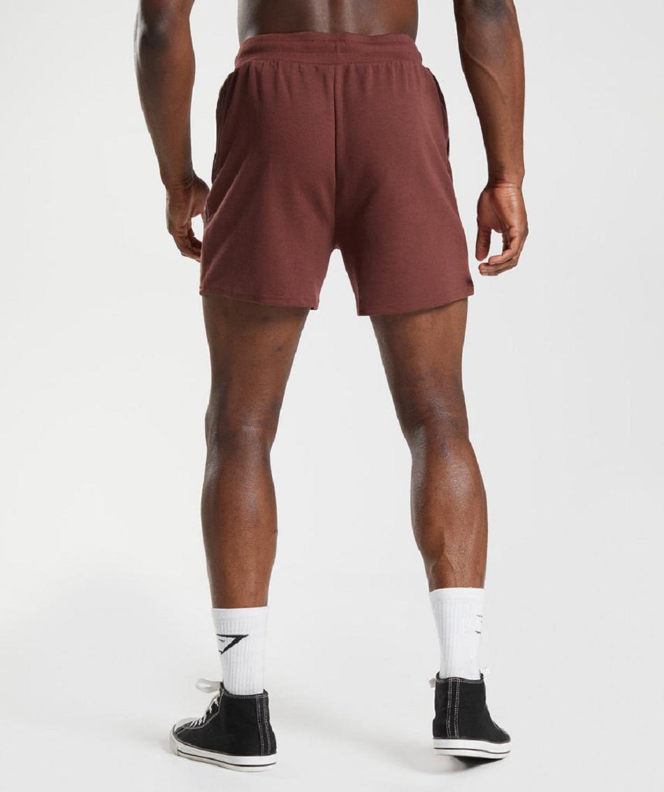 Σορτσ Gymshark Bold React 5