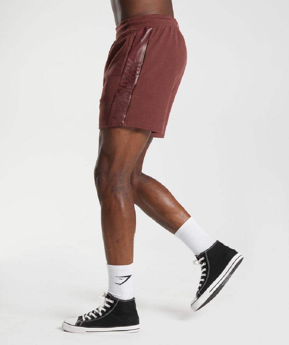 Σορτσ Gymshark Bold React 5