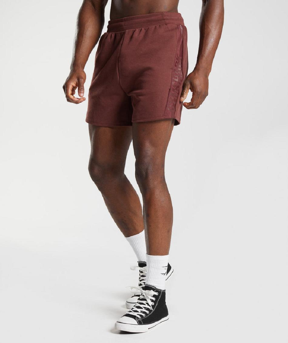 Σορτσ Gymshark Bold React 5\