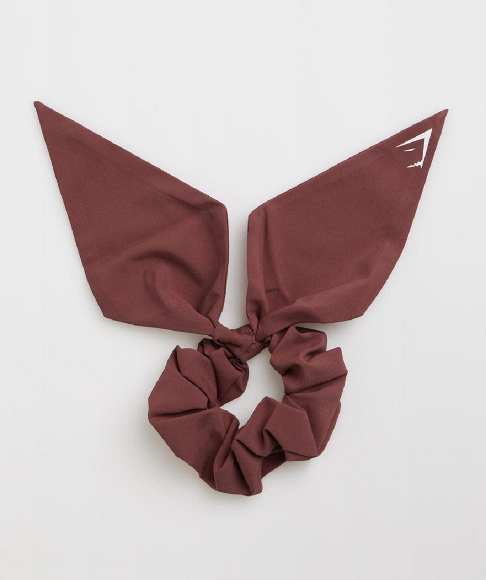 Εξοπλισμός Gymshark Bow Scrunchie γυναικεια ροζ καφε | GR_TG6461