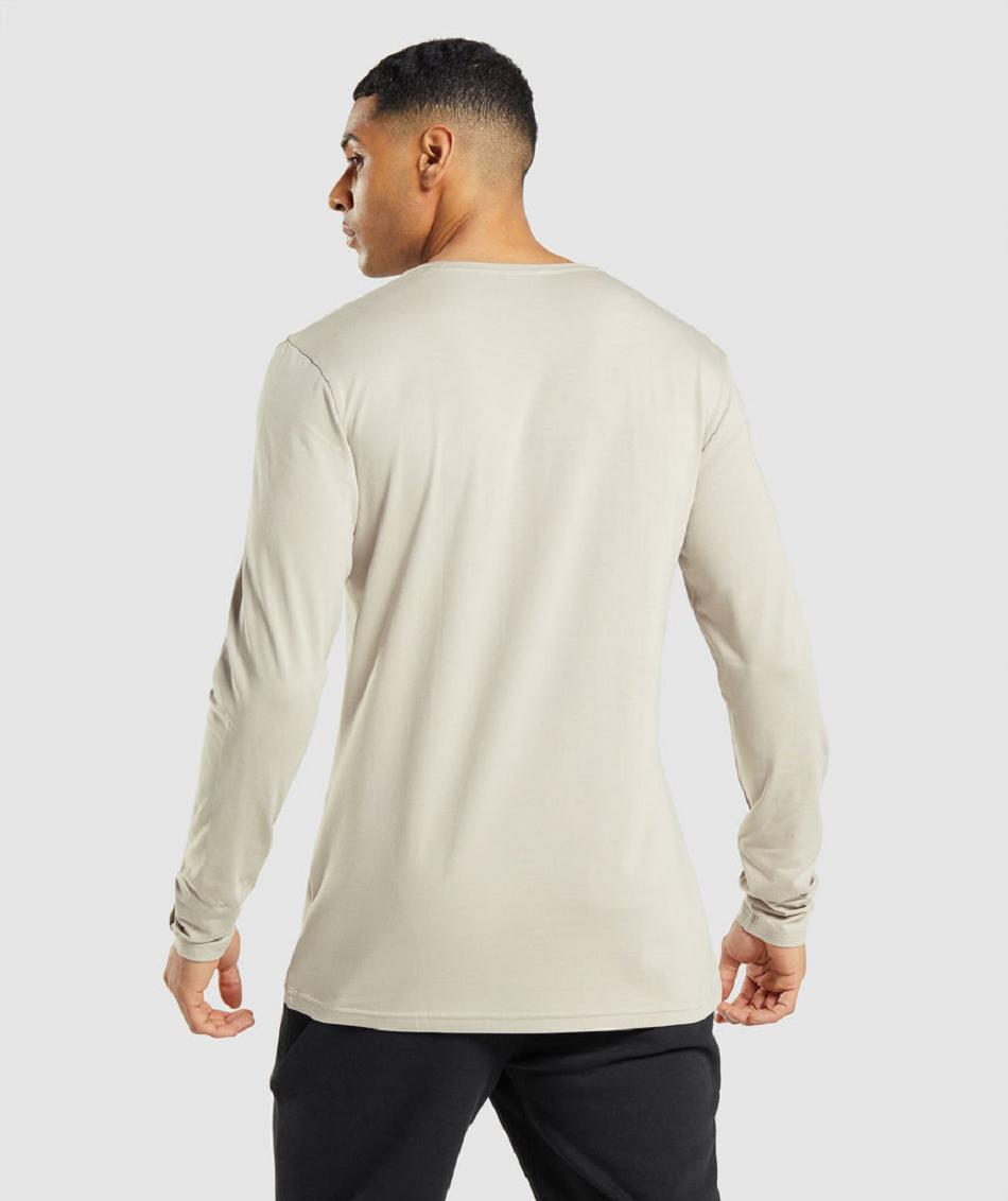 Μακρυμανικο Gymshark Essential ανδρικα γκρι | GR_BH7814
