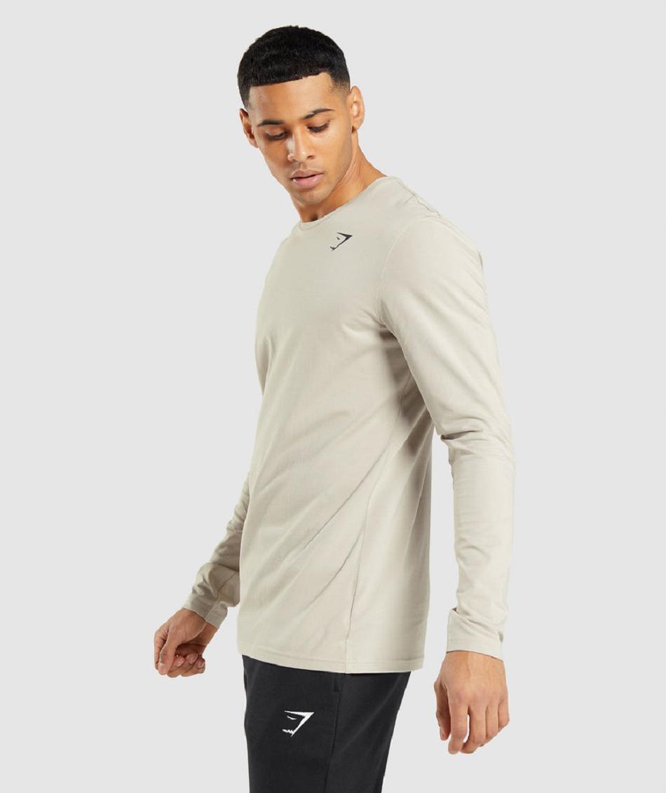 Μακρυμανικο Gymshark Essential ανδρικα γκρι | GR_BH7814