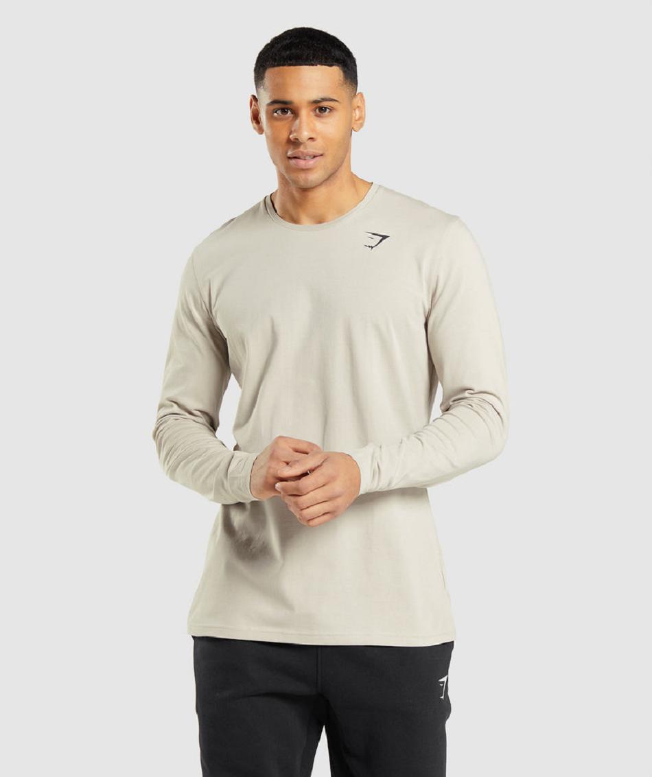 Μακρυμανικο Gymshark Essential ανδρικα γκρι | GR_BH7814