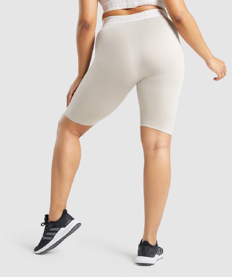 Σορτσ Gymshark Fit Seamless Cycling γυναικεια γκρι | GR_TC3210