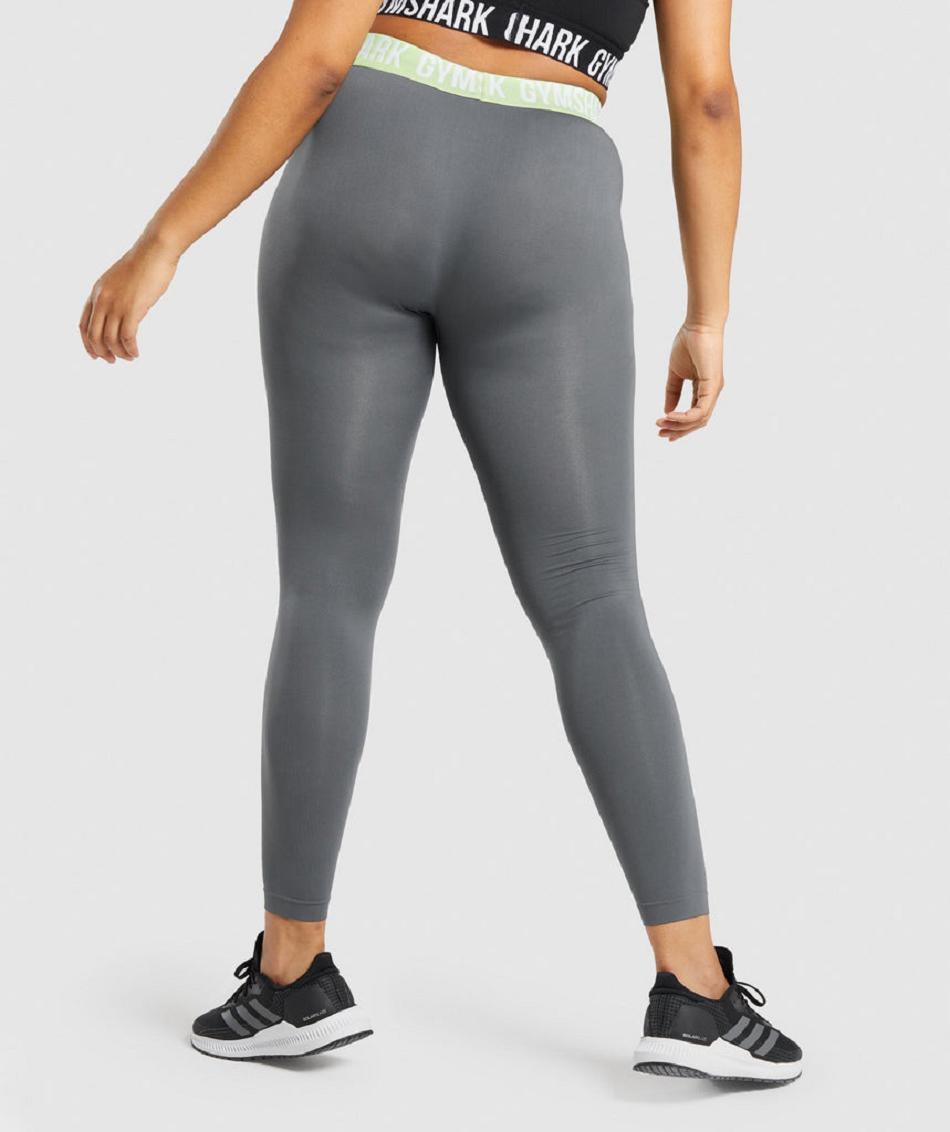 Κολαν Gymshark Fit Seamless γυναικεια γκρι | GR_Q6591