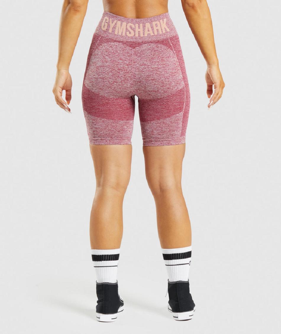 Σορτσ Gymshark Flex Cycling γυναικεια μπορντο | GR_VV7253