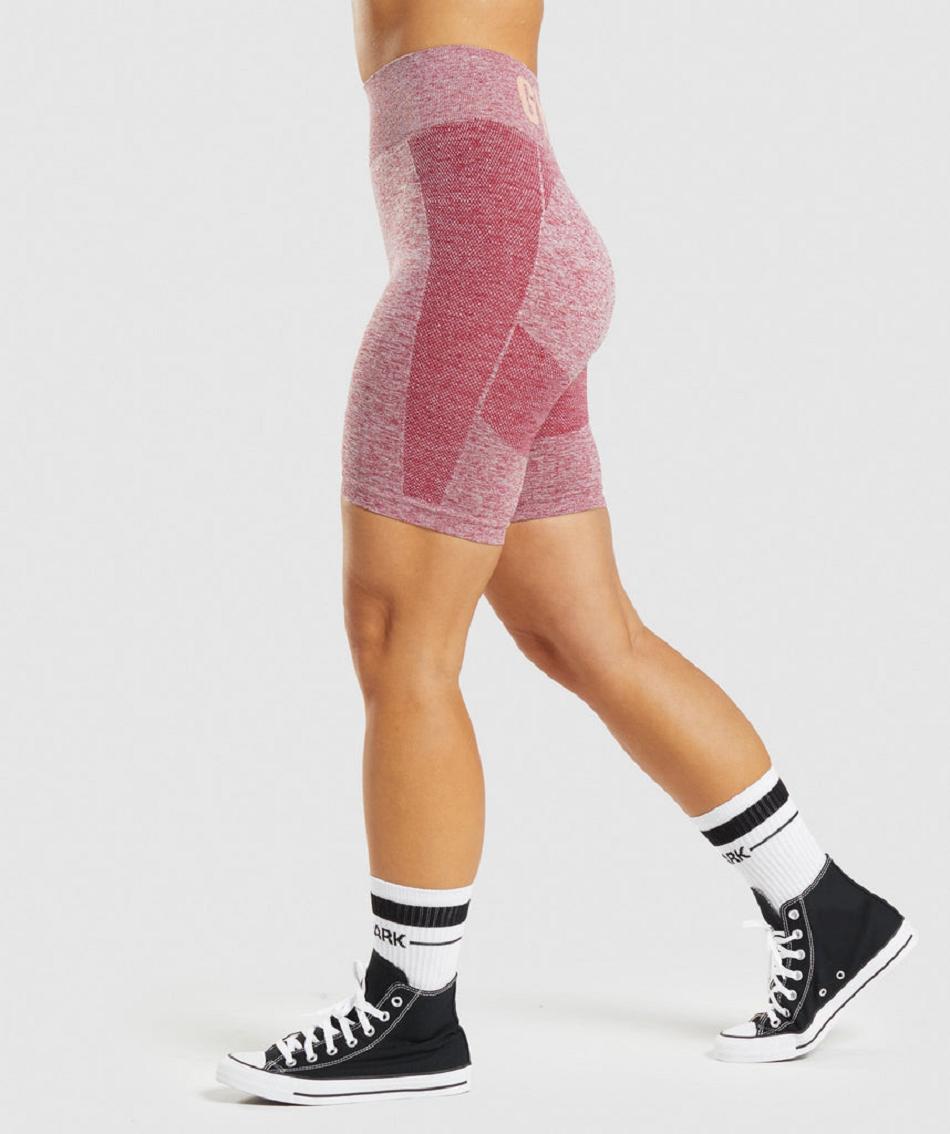 Σορτσ Gymshark Flex Cycling γυναικεια μπορντο | GR_VV7253