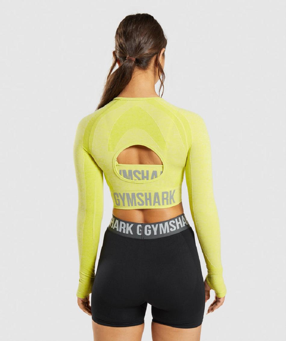 Μακρυμανικο Gymshark Flex Sports γυναικεια κίτρινα | GR_ED2796