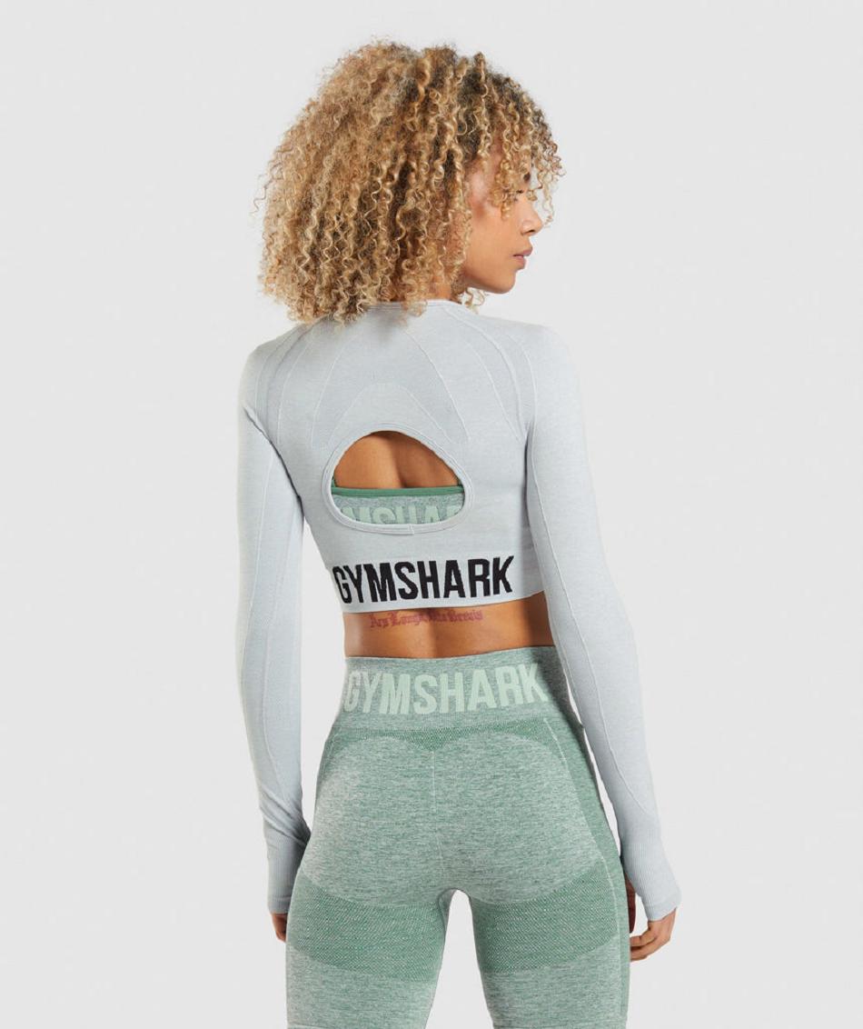 Μακρυμανικο Gymshark Flex Sports γυναικεια ανοιχτο γκρι | GR_YJ3349