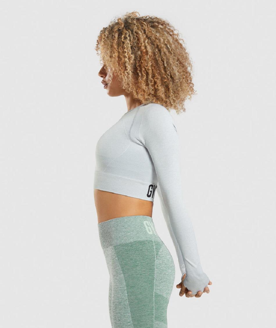 Μακρυμανικο Gymshark Flex Sports γυναικεια ανοιχτο γκρι | GR_YJ3349