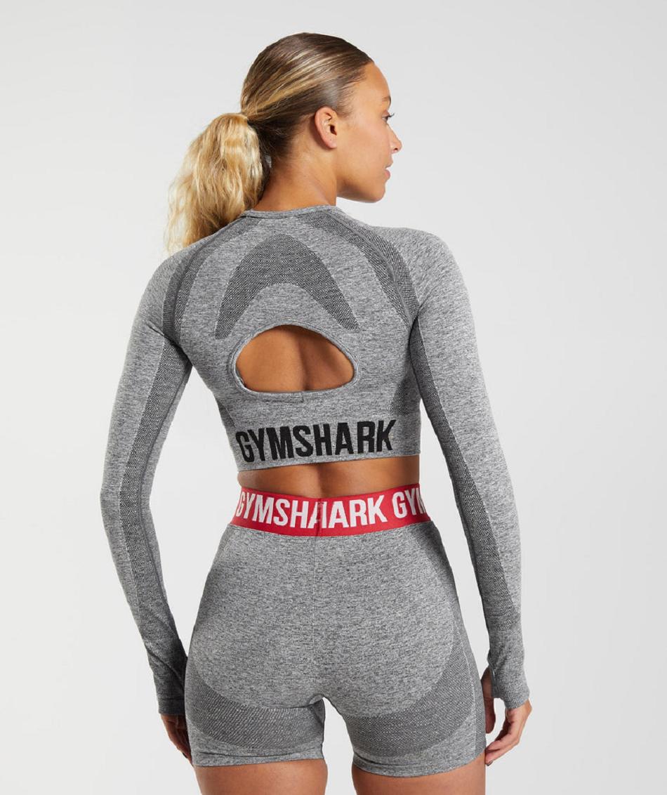 Μακρυμανικο Gymshark Flex γυναικεια γκρι | GR_TC3558