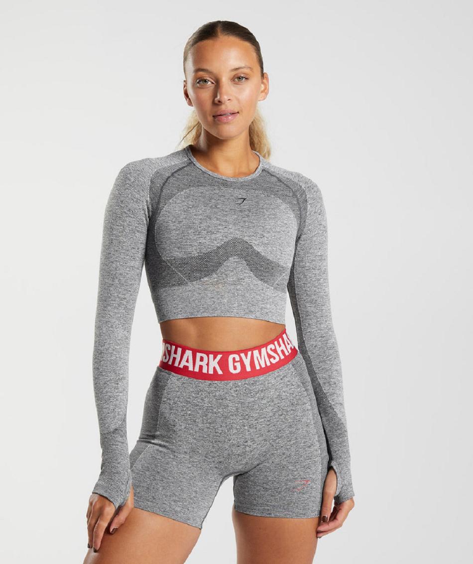 Μακρυμανικο Gymshark Flex γυναικεια γκρι | GR_TC3558
