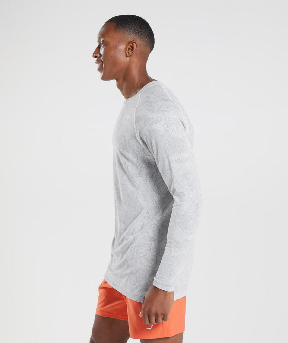 Μακρυμανικο Gymshark Geo Seamless ανδρικα ασπρα ανοιχτο γκρι | GR_YQ5526