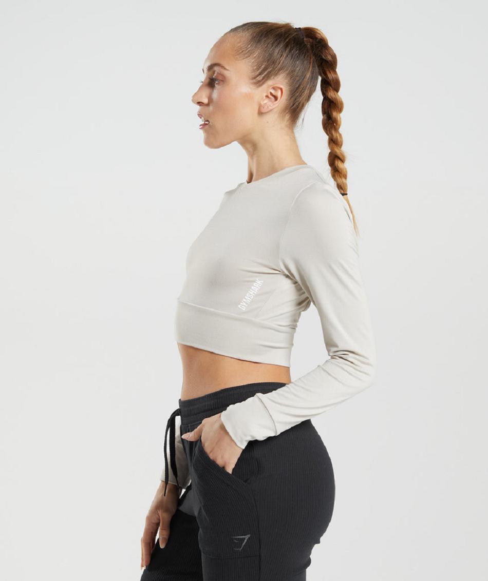 Μακρυμανικο Gymshark Pause Open Back γυναικεια γκρι | GR_YJ4755