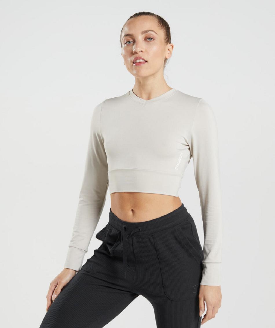 Μακρυμανικο Gymshark Pause Open Back γυναικεια γκρι | GR_YJ4755