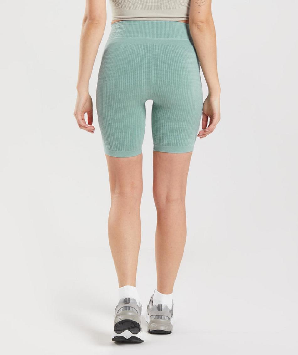 Σορτσ Gymshark Pause Seamless Cycling γυναικεια μπλε | GR_ZI3734