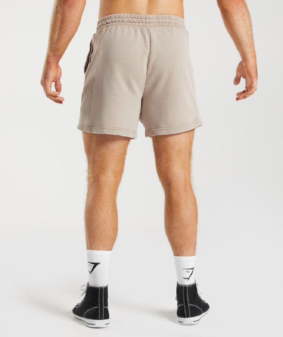 Σορτσ Gymshark Power Washed 5